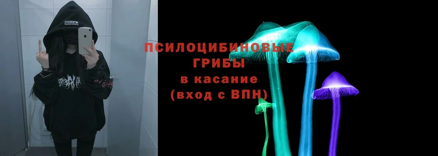 Псилоцибиновые грибы прущие грибы  omg вход  Мурино 